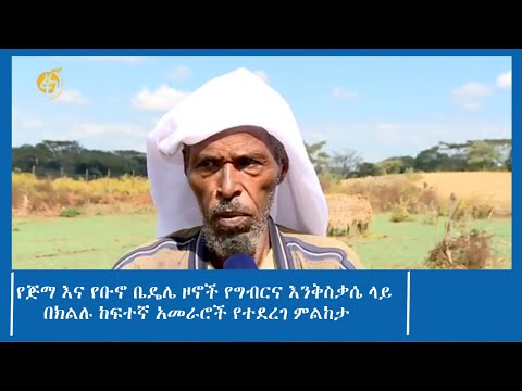 የጅማ እና የቡኖ ቤዴሌ ዞኖች የግብርና እንቅስቃሴ ላይ በክልሉ ከፍተኛ አመራሮች የተደረገ ምልከታ