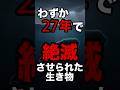 【驚愕】発見から27年で爆走で絶滅した生き物#絶滅危惧種 #生き物雑学 #動物雑学