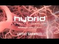 Hybrid medical animation  latest showreel