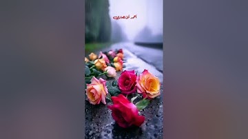 تلاوة مباركة من سورة الفجر  . الشيخ رعد محمد الكردي
