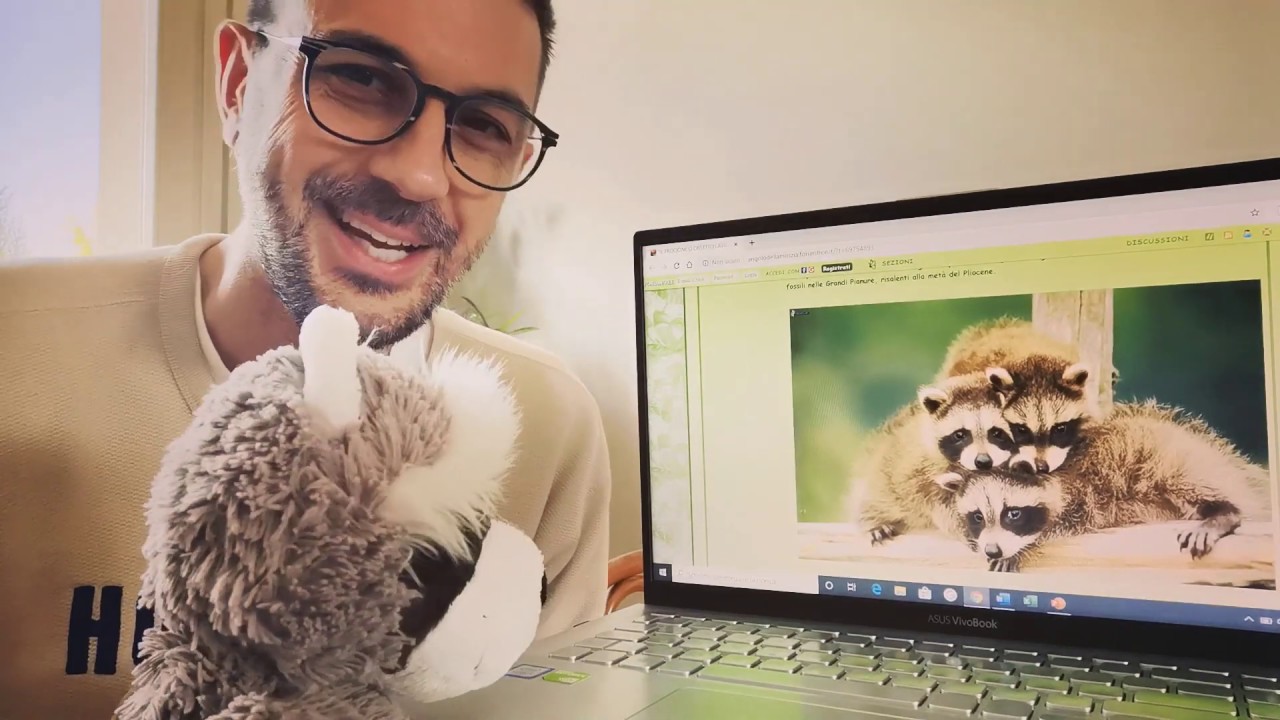 SCIENZE - Lezione 16 - Ambiente, Ecosistema e Catena alimentare - YouTube