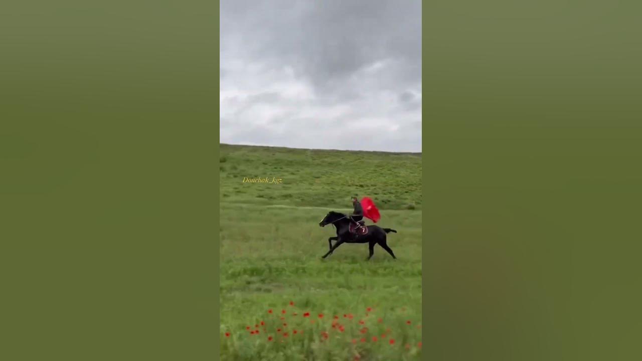 Мен Кыргызмын😍🇰🇬🫀 - YouTube