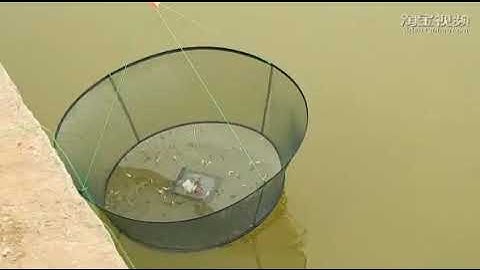 Foldable Fishing Net Hand Net   Crab Net Fish Net with Fishing Rope for Fishes, Shrimps, Crabs