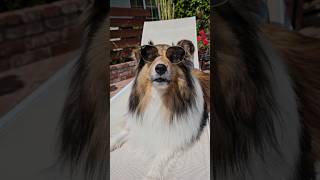 This Is My Favorite Video