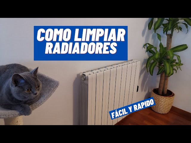 Cómo limpiar radiadores y paredes con un plumero de microfibra - Vídeo  Dailymotion