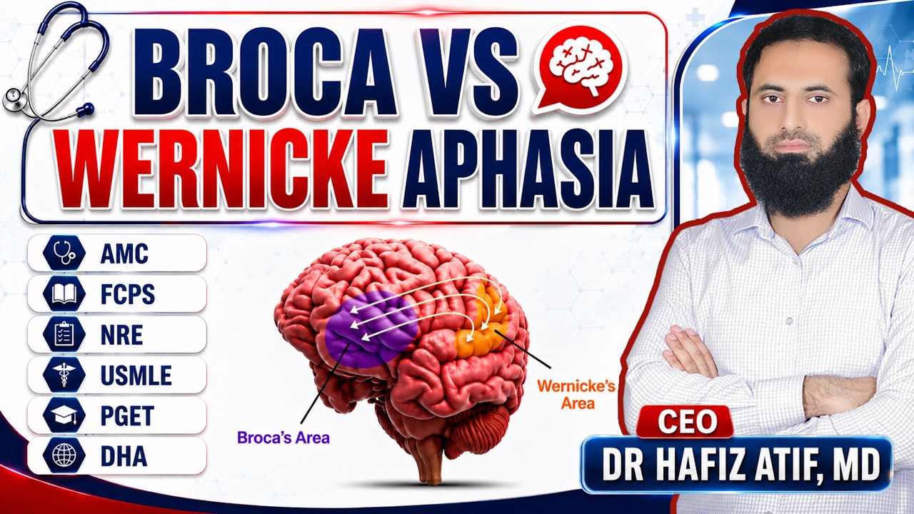 BROCA vs WERNICKE APHASIA | High Yield Topic for AMC | FCPS | NRE |USMLE |PGET | DHA | Dr Hafiz Atif