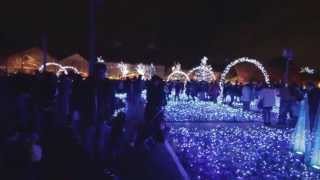 Nabana no Sato Flower Garden - Winter Illuminations
After stepping off the Shinkansen at Nagoya station, I hopped on a local JR line to take me to Nagashima to see Nabana no Sato for its Tunnel of Light attraction. Nabana no Sato Flower Garden - Winter Illuminations
