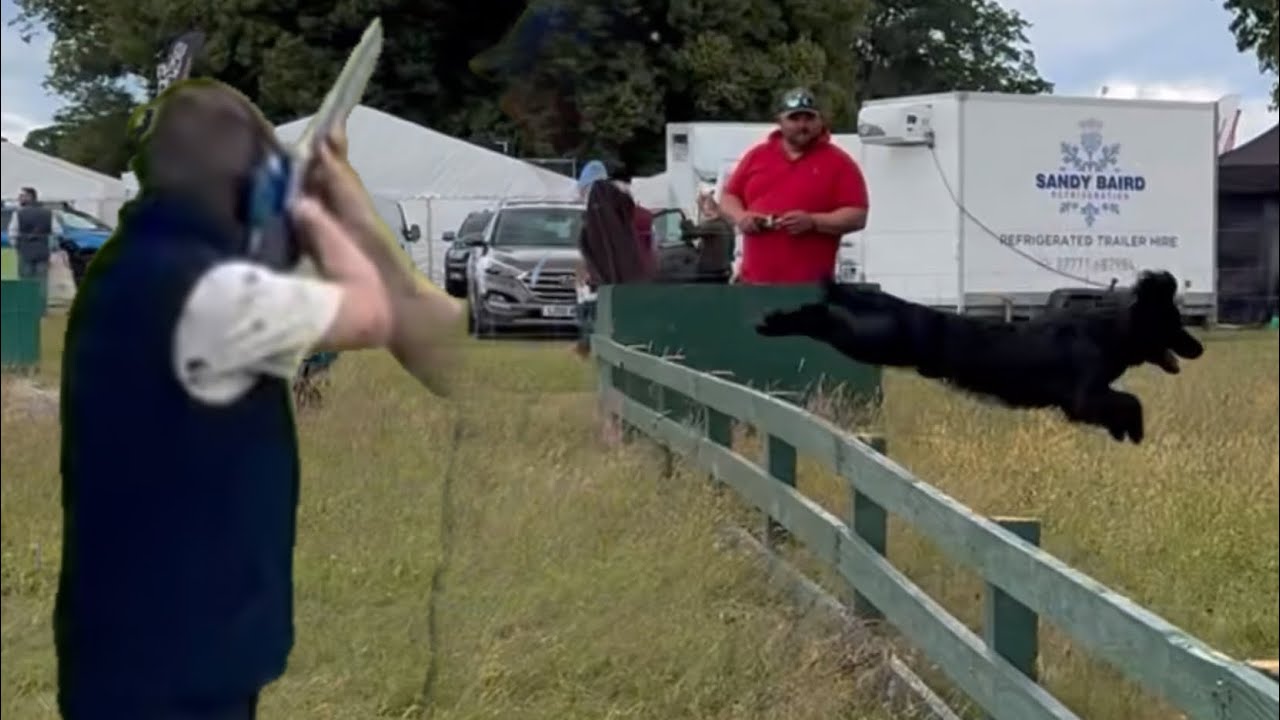 Game fair, dogs, husband vs wife shooting competition