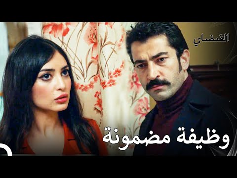 لا يقوم بالأعمال دون استشارة محاميه القبضاي الحقة 37