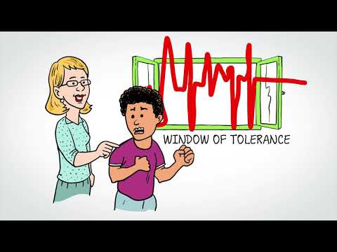 Animatie Stress window of tolerance (Augeo Foundation en Stichting Kinderpostzegels Nederland)