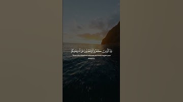 Surah An-Nisa 102 سورة النساء      #quraniv #quran