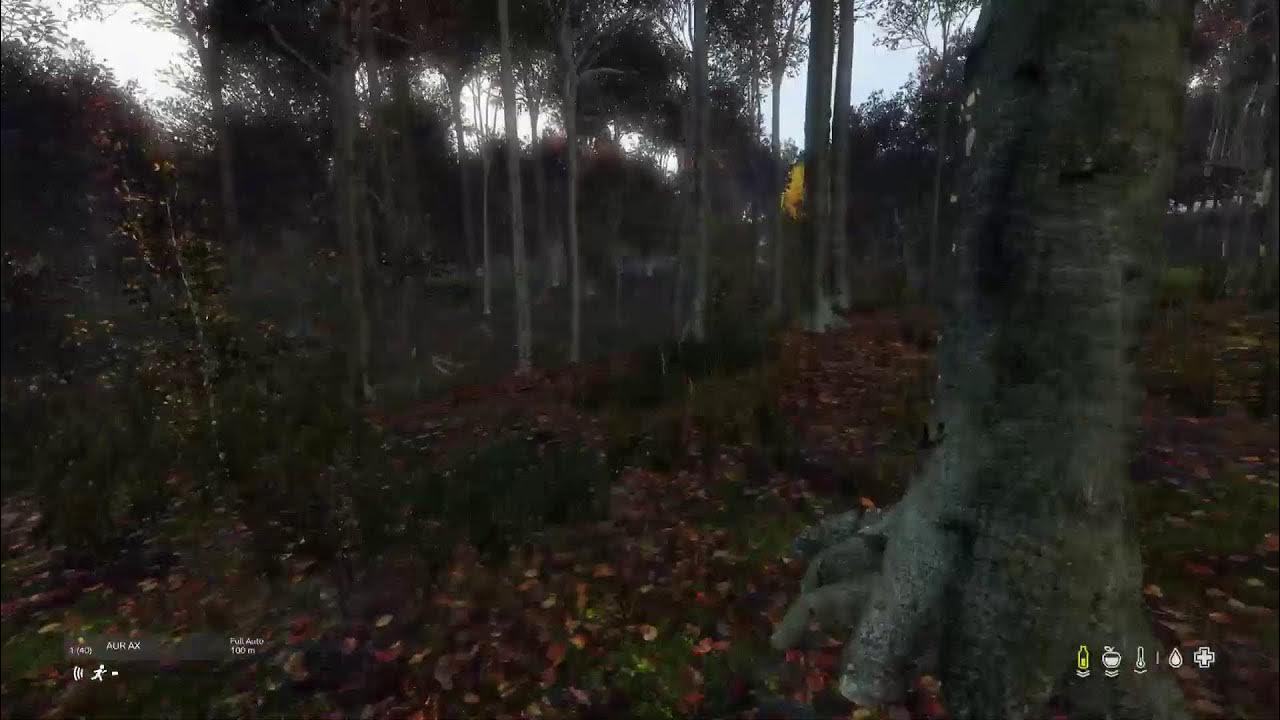 Spark plug issues DayZ Gameplay YouTube