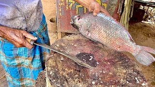 Amazing!! 2kg Giant Tilapia Fish Cutting Skills by Old Village Man Live in Sri Lankan Fish Market