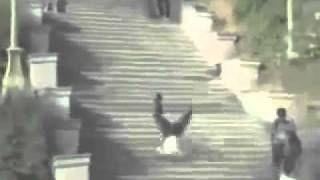 videoplayback(4).flv
