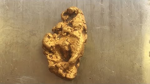 25”DD Nugget finder GOLD!