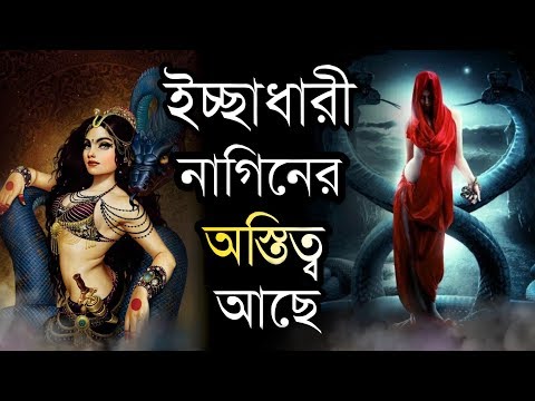 ভিডিও: একটি খারাপ নাগিন বেল্ট ত্বরণ সমস্যা সৃষ্টি করতে পারে?