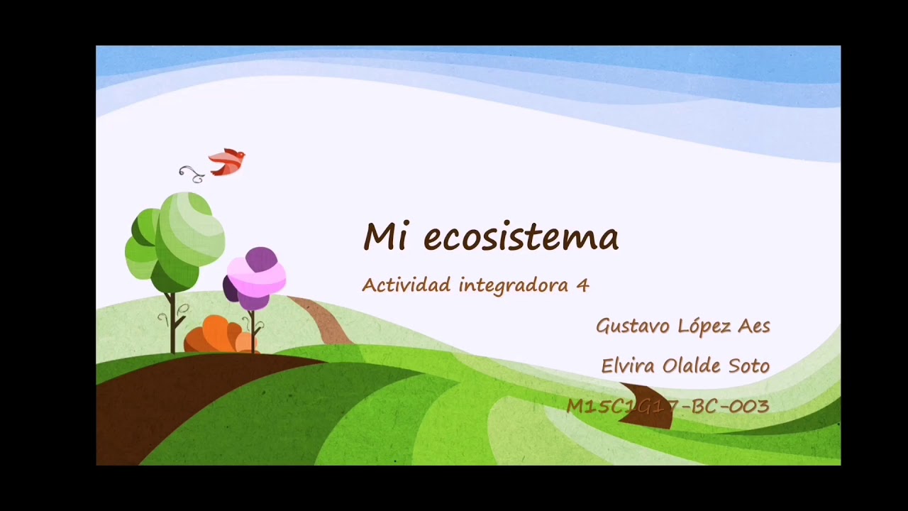 Actividad integradora 4. Mi ecosistema - YouTube