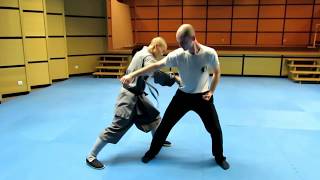 Master Shi Heng YI`s Shaolin quan lesson at Xuangui