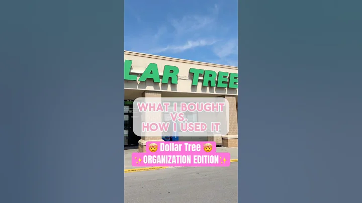 ✨What I Bought VS. How I Used It✨ 🤯 Dollar Tree ORGANIZATION edition #hack #organization #home
