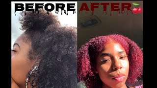 HOW TO DYE YOUR HAIR WITHOUT BLEACH ( STEP BY STEP )