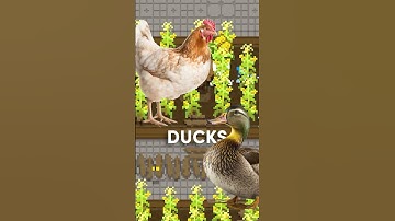 THEY HAVE ARRIVED! 🐤🦆 #indiegamedev #gamedev