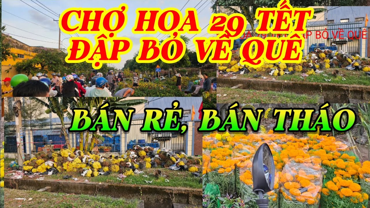 Tập 081: Chợ tết KCN vĩnh Lộc Chiều cuối năm  ế ấm , bà con buồn bã 