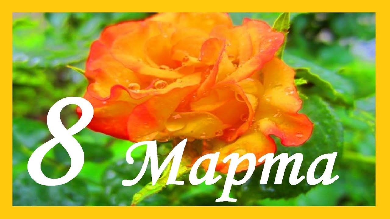 нашим воспитателям на 8 марта