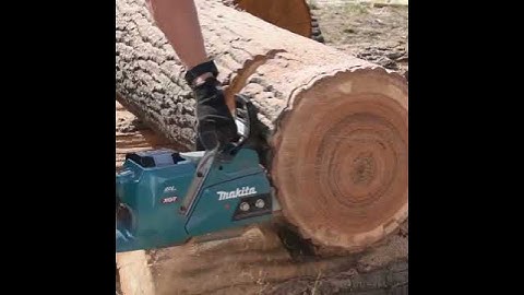 Máy cưa cây bằng pin makita chính hãng