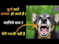 कुत्ते क्यों काटते हैं | Why do Dogs go Crazy? Watch Now!  #dogs #facts #hindi #science