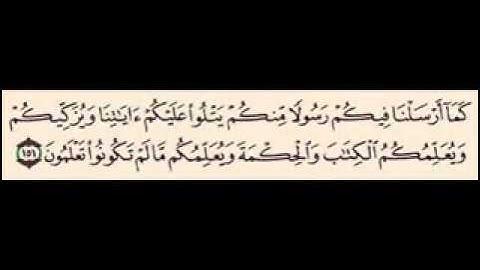 سورة البقره آيه 151