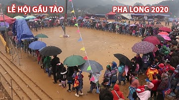 LỄ HỘI GẦU TÀO PHA LONG (P4) Lễ Hội Lớn Nhất Của Người Mông ở Lào Cai | Lễ Hạ Cây Nêu Và Cầu May Mắn