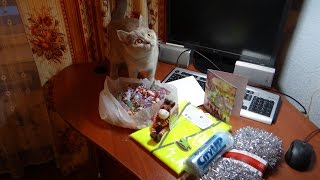 Очень классная расческа для животных. Распаковка с AliExpress. Очень классная расческа для животных. Распаковка с AliExpress.