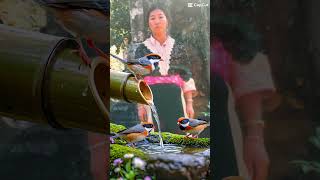 July 10, 2025 Lub Neej Dhaus Lo Kuv Tseem Nyob Toj Siab