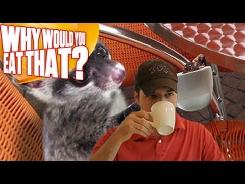 Kopi Luwak aka Cat Poop Coffee