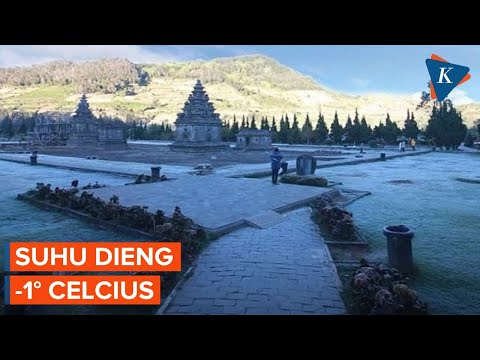 Fenomena Embun Es Dieng, Suhu Mencapai Minus 1 Derajat Celsius