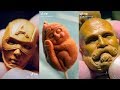 💗Super Carving on Fruit Stones/Tik Tok Videos💗