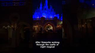 Art inside the castle #disney #disneytoys #disneyworld #disneyparks #magickingdom #magic #happy