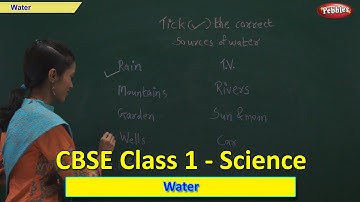 Water | Class 1 CBSE Science | Science Syllabus Live Videos | Video Training