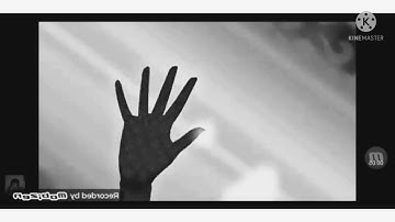 king fox transformation in black and white invert high pitch reverse squared