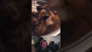 https://www.twitch.tv/neonpsh ежемесячные турниры и розыгрыши на пополнение стим кошелька !