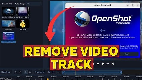 HowTto Remove Video Track in Openshot 2025?