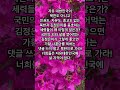 가황 나훈아 테스형 난 나훈아 선생님의 북한 시국 선언에 적극 동의한다 가황 나훈아 테스형 난 나훈아 선생님의 북한 시국 선언에 적극 동의한다