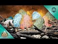 Stealing my first wyvern eggs  ark scorched earth e34