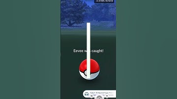 Finally I found *Hundo* Eevee in Pokemon Go #shorts #short #pokemongo #eevee