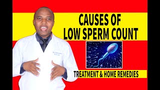 HOW TO INCREASE SPERM COUNT home Treatment for low sperm count causes, food to eat, male infertility