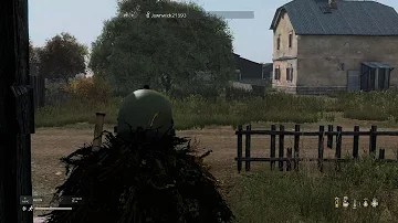 DayZ Protest Shooting