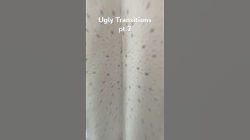 Ugly Transitions (pt.2) | #trend #transition