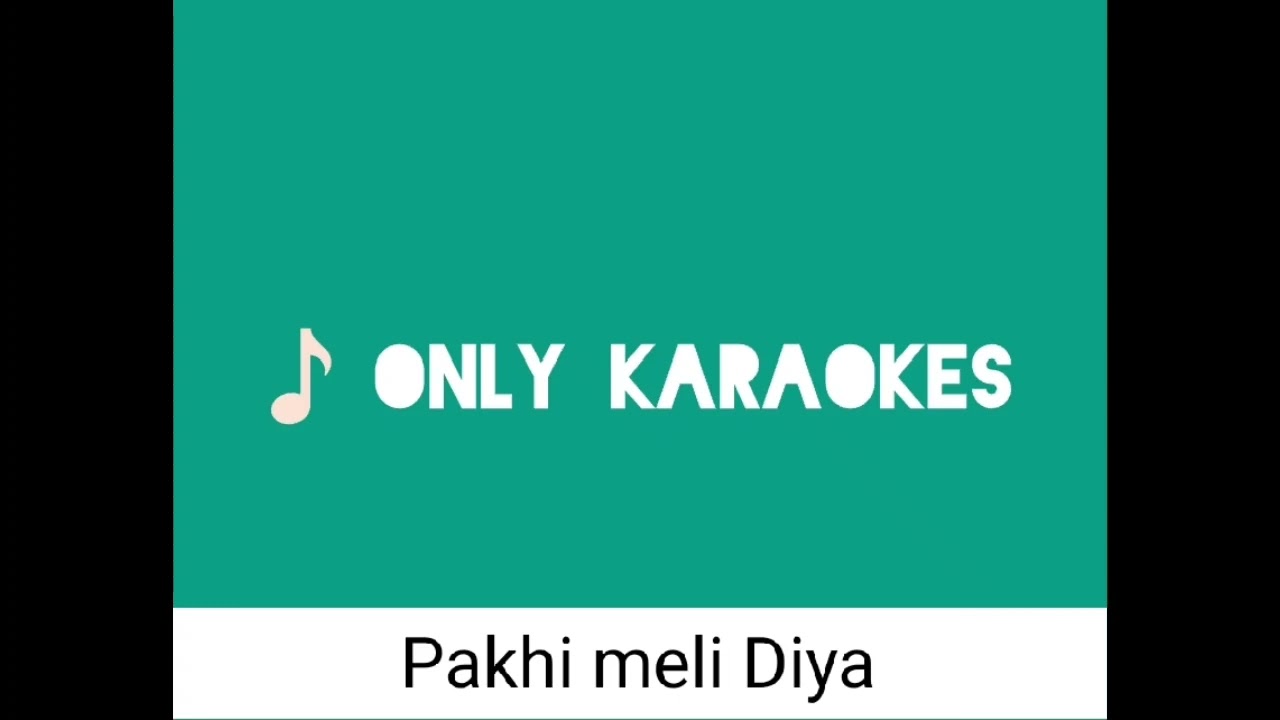 Pakhi meli diye by zubeen karaoke