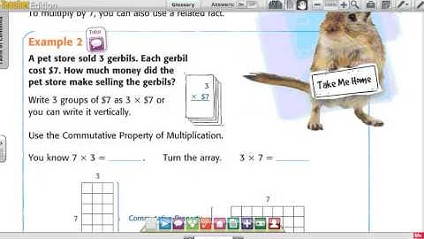 3rd Grade Chapter 8 Lesson 2