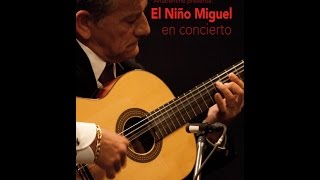 El Niño Miguel en Concierto. Teatro Central de Sevilla, Noviembre 2011.